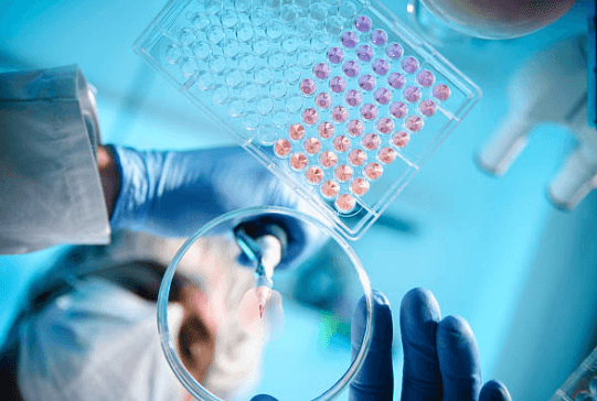 Laboratuvar Test Sonucu