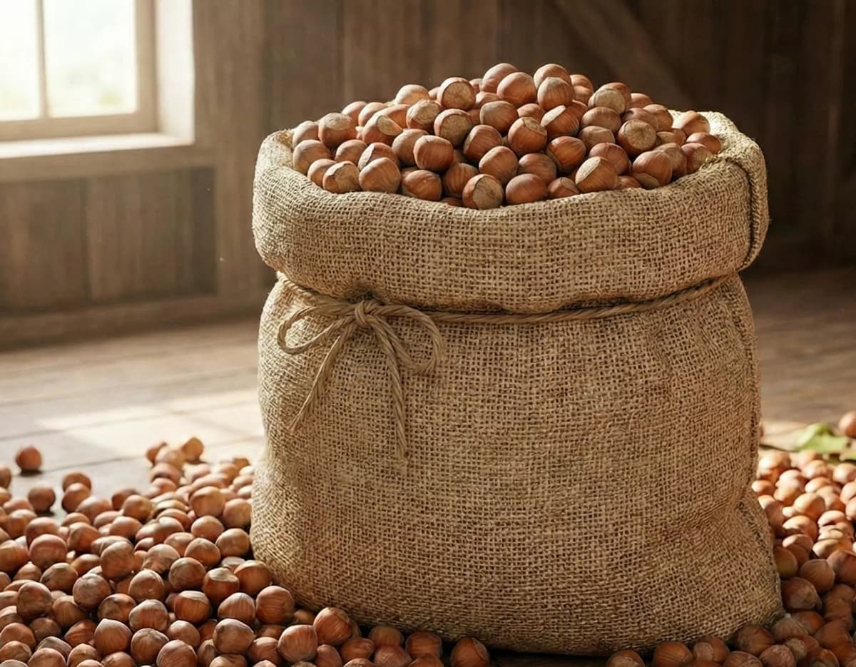 Kabuklu Fındık 10kg